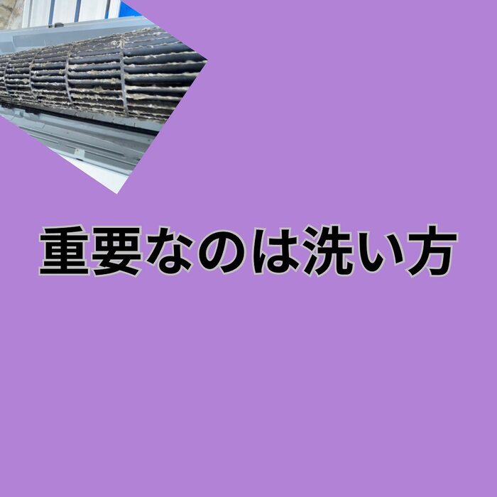画像244