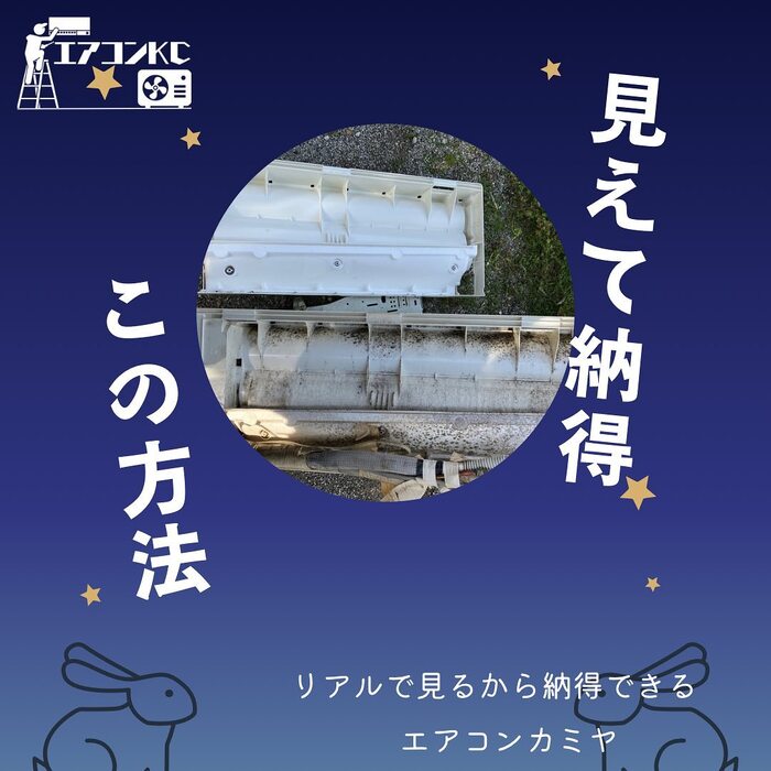 画像250