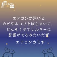 画像253