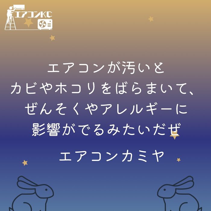 画像253