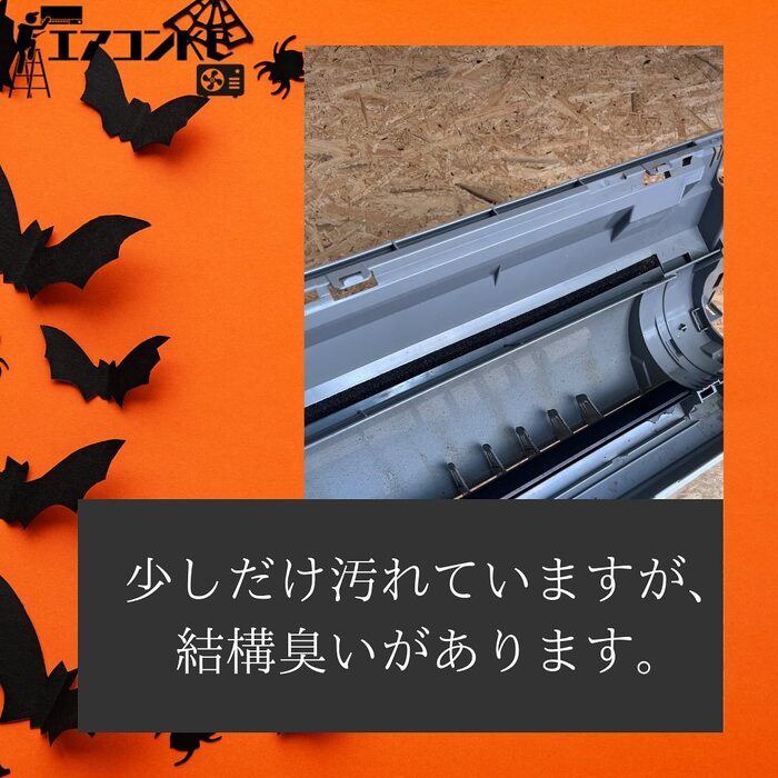 画像268