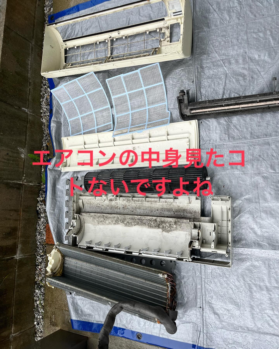 画像417