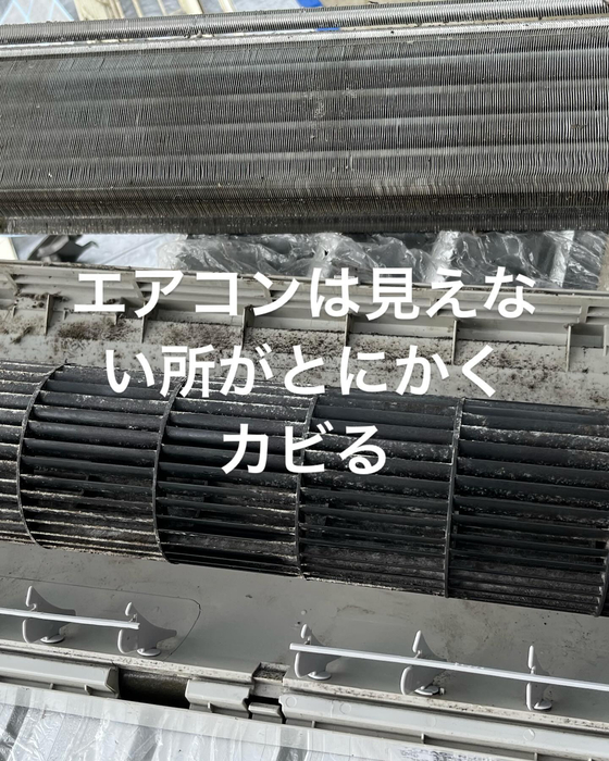 画像419