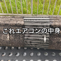 画像425