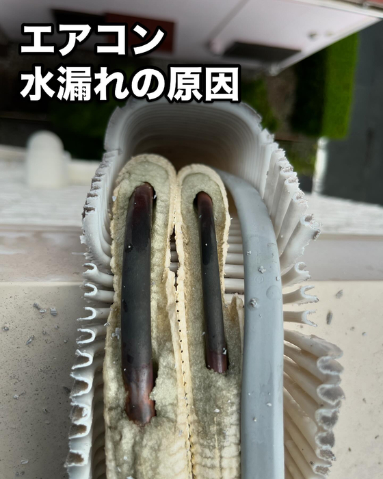 画像433
