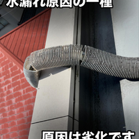 画像434