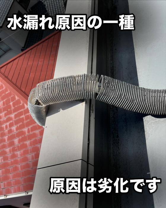 画像434