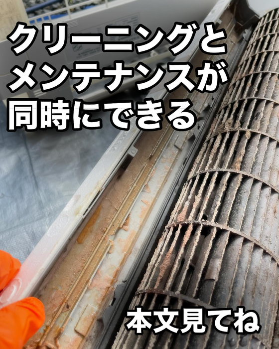画像445